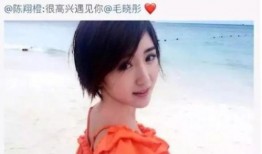 陈翔发文最新爆料,揭秘娱乐圈惊人内幕