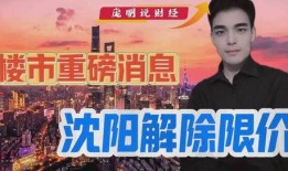 沈阳爆料最新消息,揭秘事件背后真相