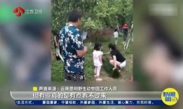 南京游客爆料视频最新版,揭秘古都新发现与争议瞬间