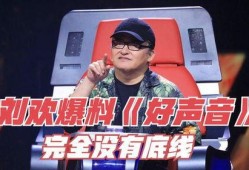 最新爆料好声音完整版,巅峰对决，独家完整版幕后揭秘