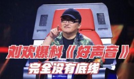 最新爆料好声音完整版,巅峰对决，独家完整版幕后揭秘