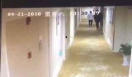 酒店最新爆料视频播放,最新爆料视频带你一探究竟