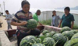 南充市吃瓜最新事件爆料,揭秘背后惊人真相