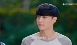 台湾绯闻男明星最新爆料,揭秘娱乐圈不为人知的秘密