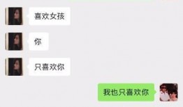 馨姐最新爆料聊天记录,最新聊天记录曝光惊人内幕